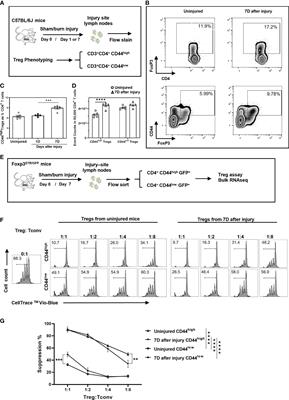 Distinct Injury Responsive Regulatory T Cells Identified by Multi-Dimensional Phenotyping